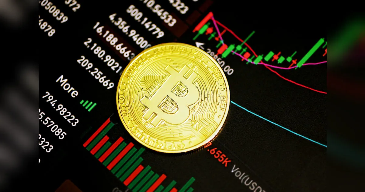 How Many People Own 10 Bitcoin in the World